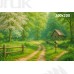 Tło fotograficzne Las 3613